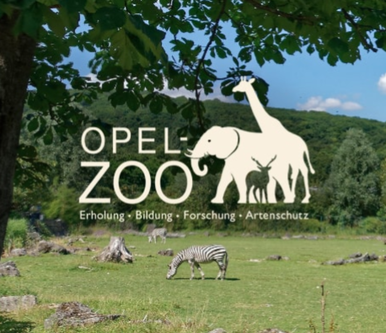 Opel Zoo